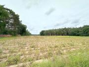 Ca. 3,7 ha Landwirtschaftliche Fläche in Oberlangen zu verkaufen 