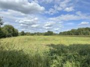 Ca. 1,4 ha Ackerfläche in Oberlangen zu verkaufen 