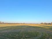 Ca. 3,6 ha landwirtschaftliche Fläche in Rhede-Brual zu verkaufen