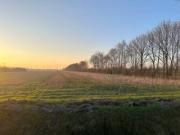 Ca. 2,3 ha Ackerfläche in Rhede-Brual (Nähe A31) zu verkaufen